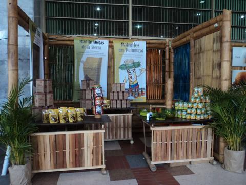 Feria Bioexpo 2010.jpg