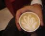 DSC05631.JPG