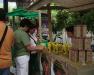 Feria Mercados Verdes Medellin 2010.jpg